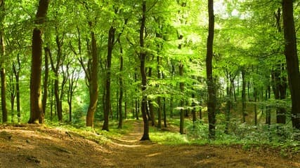 ♻️ Odbijamy las ze śmieci! Likwidacja dzikiego wysypiska